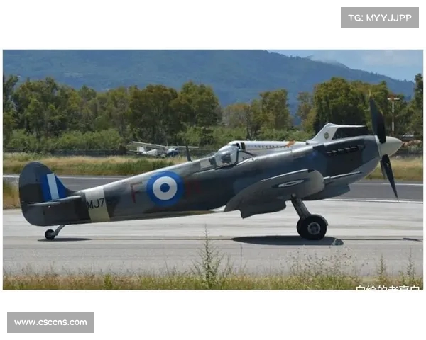 罗马老板亲自驾驶私人飞机接卢卡库抵达罗马的壮举 罗马老板亲自驾驶私人飞机接卢卡库抵达罗马的壮举