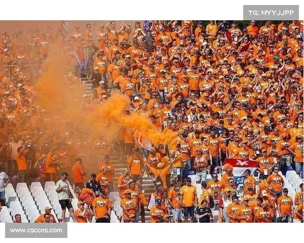 追溯1950年世界杯 橙色激情点燃足球历史的第一幕 追溯1950年世界杯 橙色激情点燃足球历史的第一幕